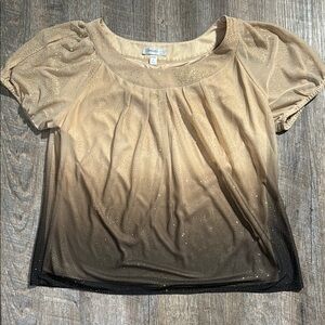 Dressbarn Elegant Ombre Blouse